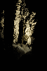   «-2007»,  2 -  -   « »