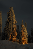   «-2007»,  3 -  -   « »