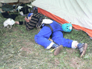          ( 2005- ) -  -   « »